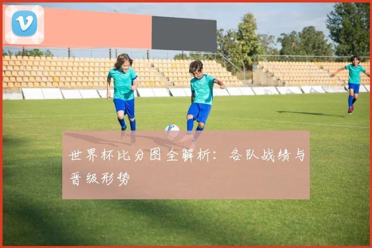 世界杯比分图全解析：各队战绩与晋级形势