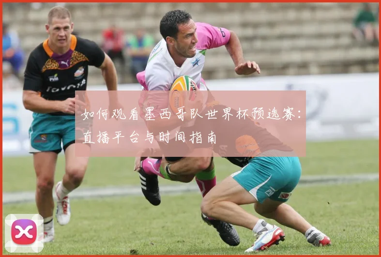如何观看墨西哥队世界杯预选赛:直播平台与时间指南