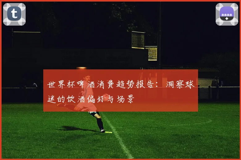 世界杯啤酒消费趋势报告：洞察球迷的饮酒偏好与场景