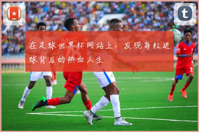 在足球世界杯网站上，发现每粒进球背后的热血人生