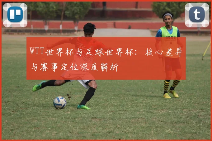 WTT世界杯与足球世界杯：核心差异与赛事定位深度解析