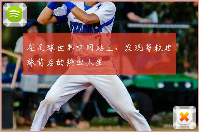 在足球世界杯网站上，发现每粒进球背后的热血人生