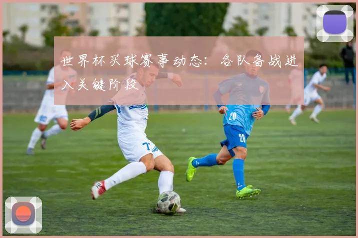 世界杯买球赛事动态：各队备战进入关键阶段