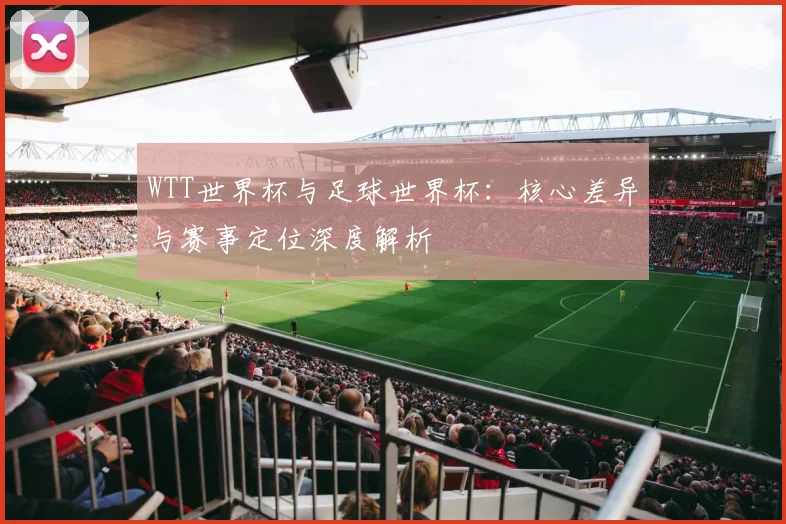 WTT世界杯与足球世界杯：核心差异与赛事定位深度解析