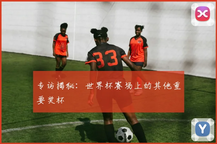 专访揭秘：世界杯赛场上的其他重要奖杯