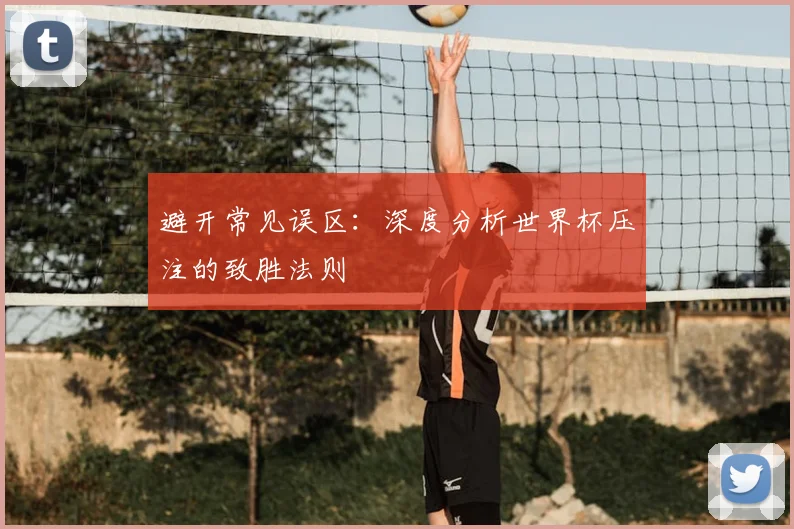 避开常见误区：深度分析世界杯压注的致胜法则