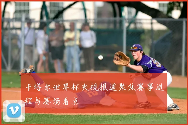 卡塔尔世界杯央视报道聚焦赛事进程与赛场看点