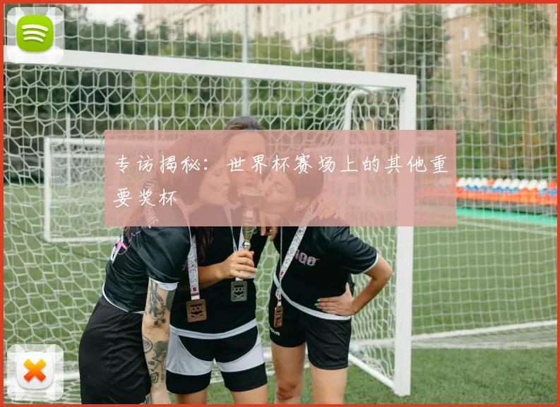专访揭秘：世界杯赛场上的其他重要奖杯