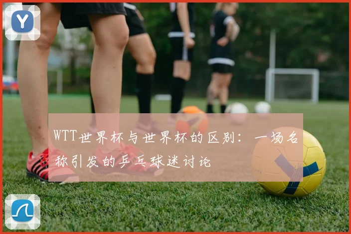 WTT世界杯与世界杯的区别：一场名称引发的乒乓球迷讨论