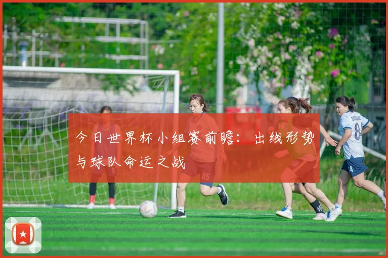 今日世界杯小组赛前瞻：出线形势与球队命运之战