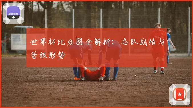 世界杯比分图全解析：各队战绩与晋级形势