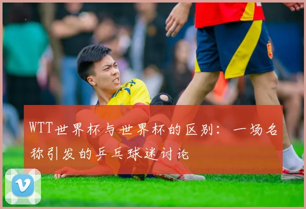 WTT世界杯与世界杯的区别：一场名称引发的乒乓球迷讨论